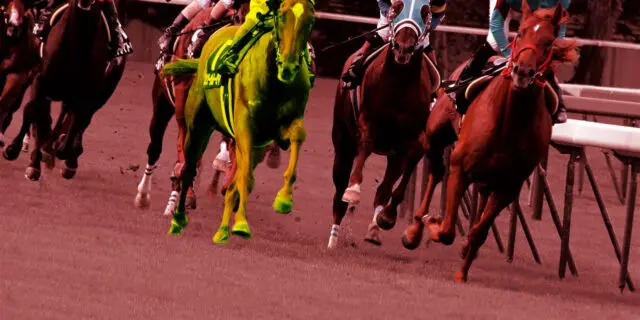 【京王杯2歳ステークス2025予想】展開で浮上する穴馬はこの馬！