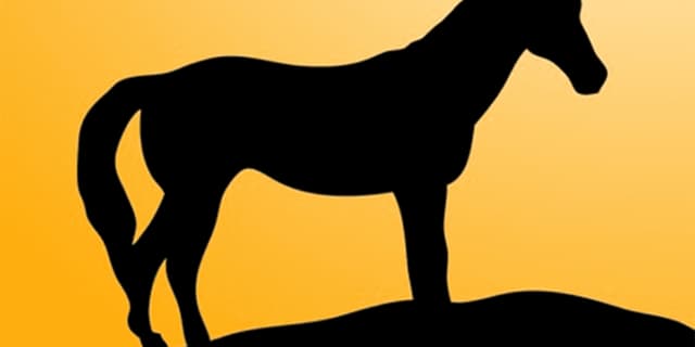 【グレイトフルステークス予想2023】1番人気が好調のハンデ戦！