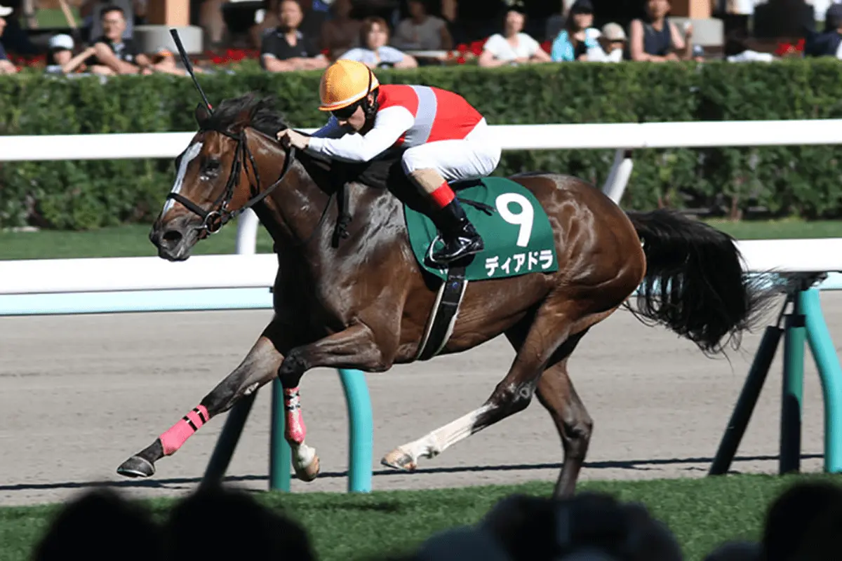 2017年秋華賞馬ディアドラが初仔を受胎