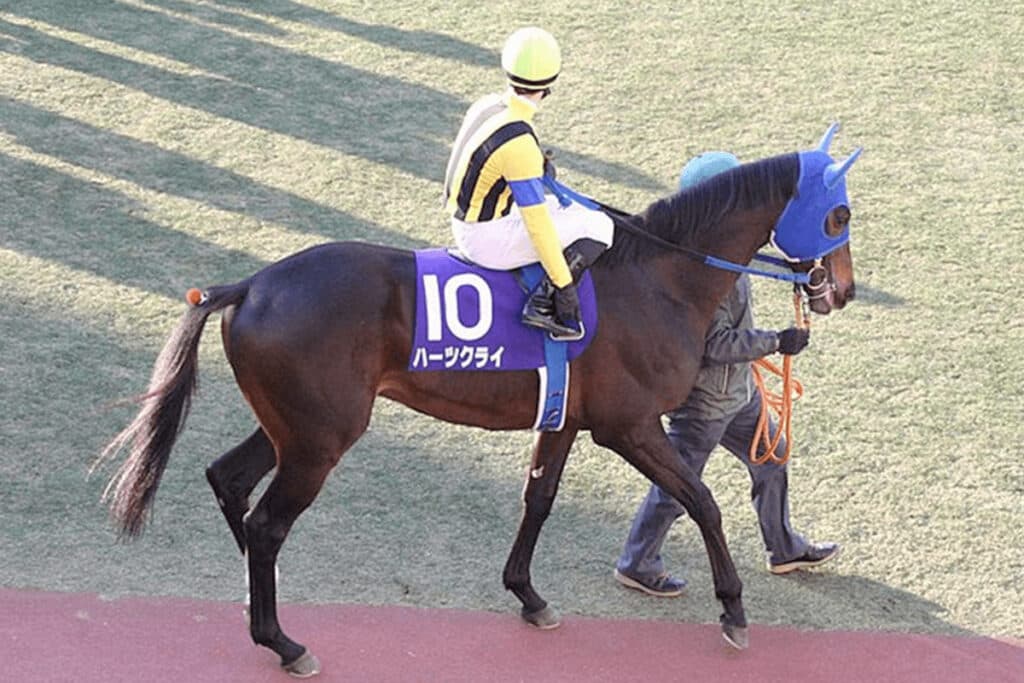 【JRA】ハーツクライ死す、22歳