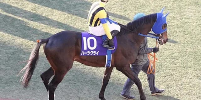 ハーツクライが種牡馬引退、功労馬に