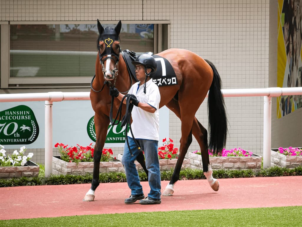 【JRA宝塚記念2021予想】好条件そろったモズベッロ、凱旋門賞へ向けて弾み！