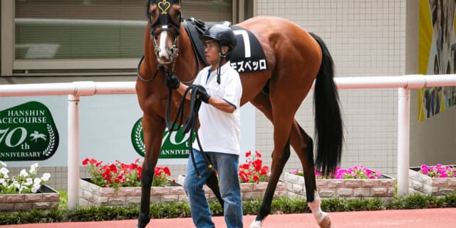 【JRA宝塚記念2021予想】好条件そろったモズベッロ、凱旋門賞へ向けて弾み！