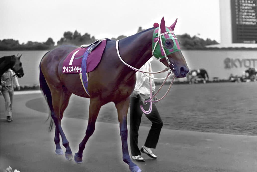 ウマ娘効果？話題沸騰中のナイスネイチャ、バースデードネーションで3500万以上の寄附金集まる