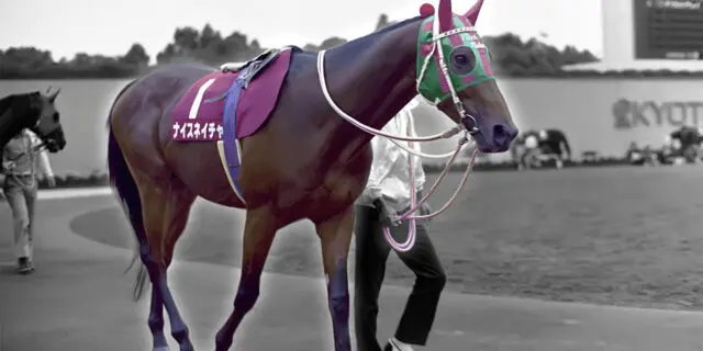 ナイスネイチャ、35歳のバースデードネーションも記録更新