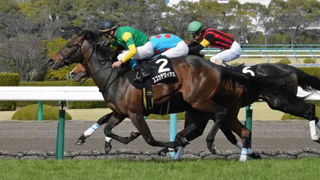 スズカデヴィアス予後不良、中京1Rで左第1指関節脱臼