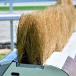 【中山グランドJ予想2026】連覇に挑むエコロデュエルに土をつけるのはどの馬か？！