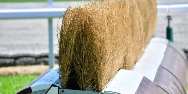 【中山大障害2021予想】タガノエスプレッソやオジュウチョウサンなど出走予定馬を考察