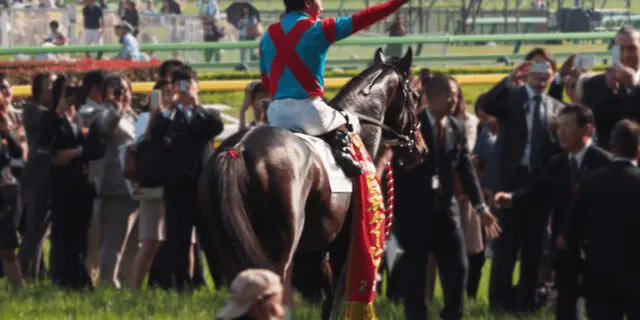 新種牡馬ワンアンドオンリー産駒が高知競馬で初勝利！