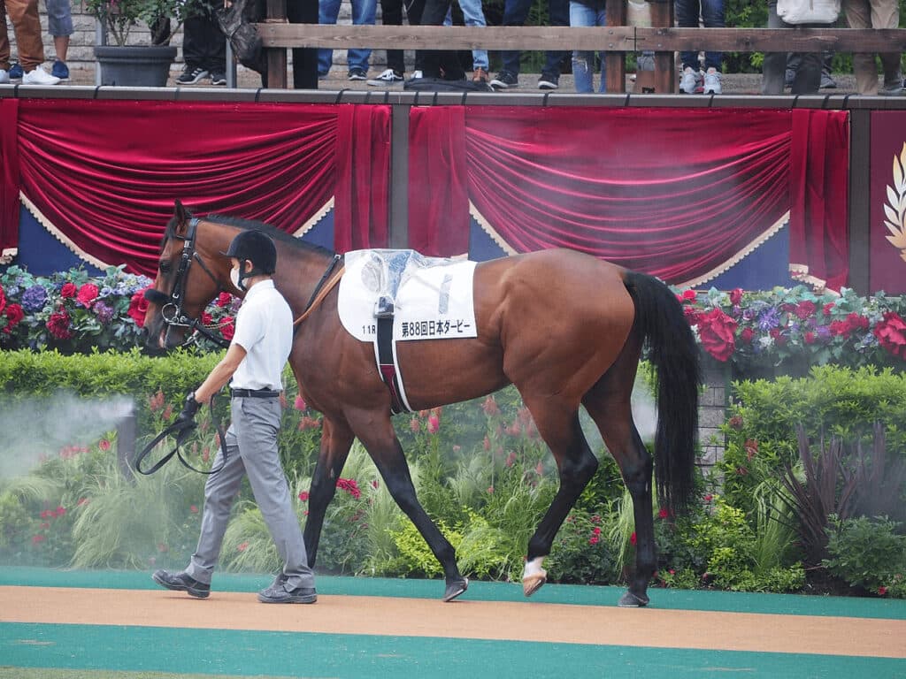 【JRA】エフフォーリアは有馬記念へ、脚部不安ほぼ解消