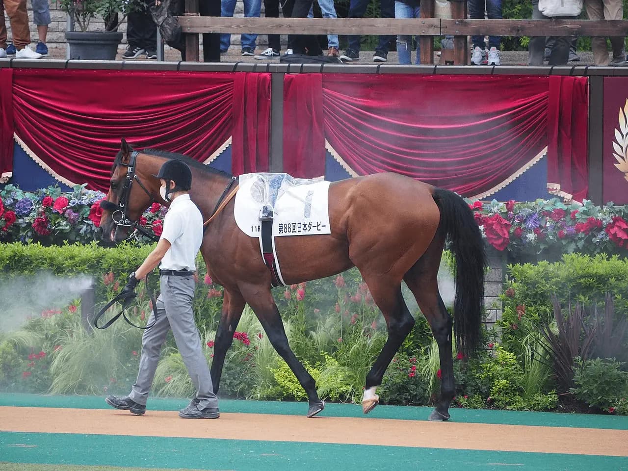 【JRA】エフフォーリアは有馬記念へ、脚部不安ほぼ解消