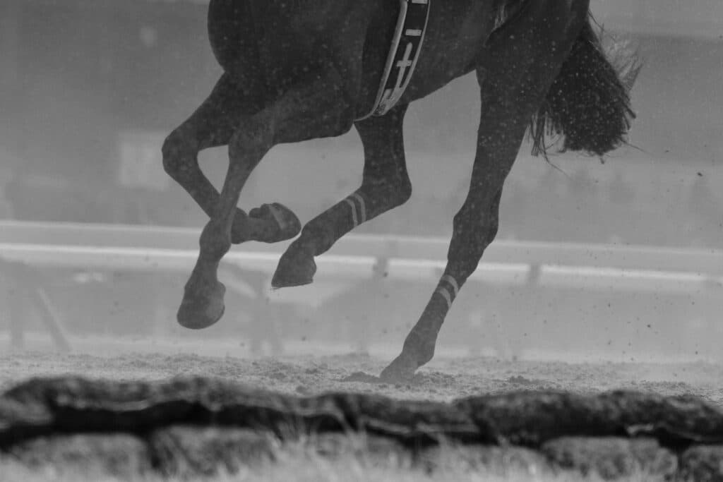 【JBCクラシック予想2021】過去20年未勝利の地方勢、カジノフォンテン宿願成就なるか？