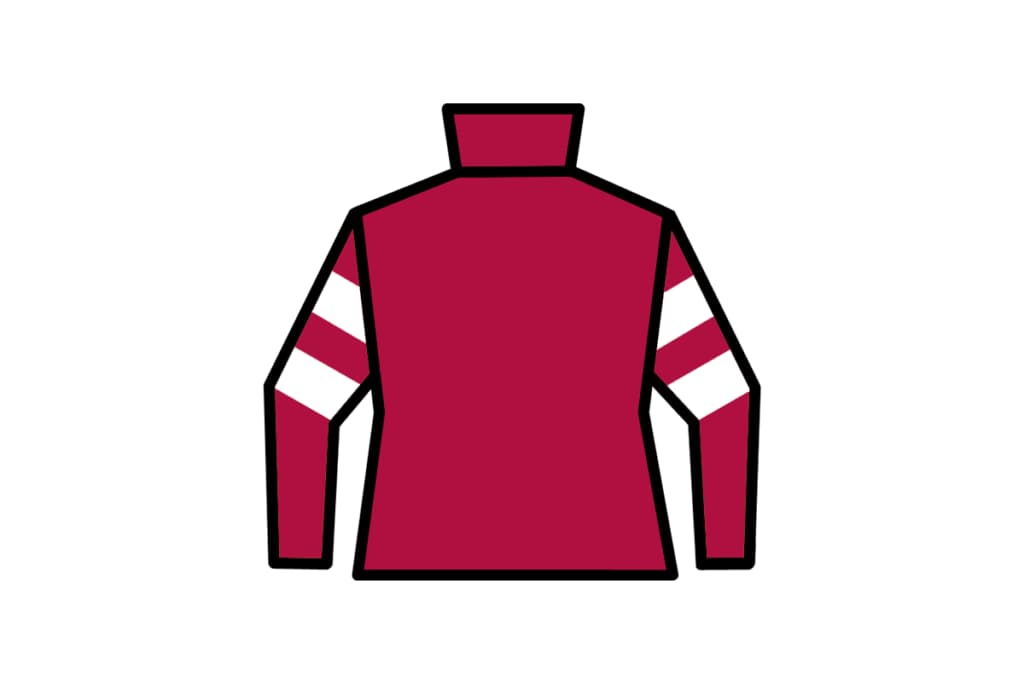 サイバーエージェント藤田晋氏の所有馬、続々とデビューが決定！14日フェニックス賞にデュガがデビュー