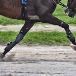 【小倉記念2025】1週前追い切りで自己ベスト更新したエピファニー、反撃へ虎視眈々