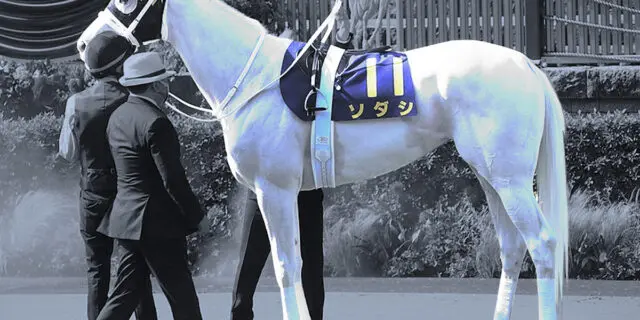 【JRA】ソダシが現役引退、今後は繁殖牝馬に