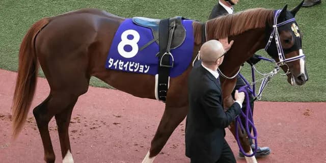 【JRAスプリンターズS予想2022】タイセイビジョン、力付けて雪辱Vへ