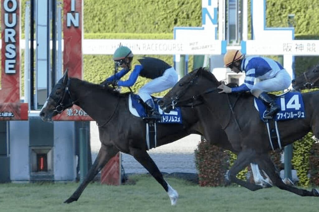 秋華賞馬アカイトリノムスメが引退、今後は繁殖馬に