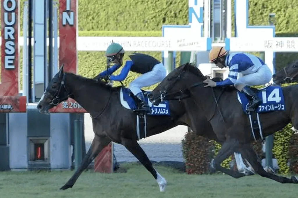 秋華賞Vのアカイトリノムスメ、次走はエリザベス女王杯かジャパンC