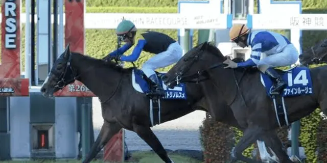 秋華賞馬アカイトリノムスメが引退、今後は繁殖馬に