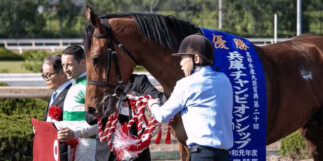 JRAクリソベリルが重度の喉なりで引退、種牡馬入り