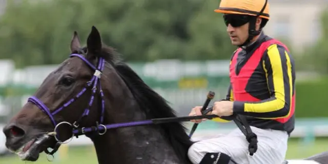 【天皇賞秋2021予想】グランアレグリア✕C.ルメール騎手、人馬ともに試金石の一戦