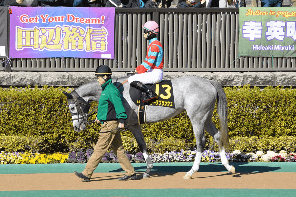 【レディスプレリュード2021予想】レーヌブランシュ、好位からの競馬で昨年の雪辱へ