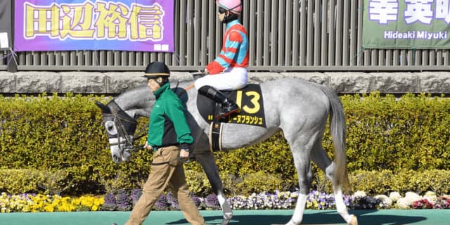 【レディスプレリュード2021予想】レーヌブランシュ、好位からの競馬で昨年の雪辱へ