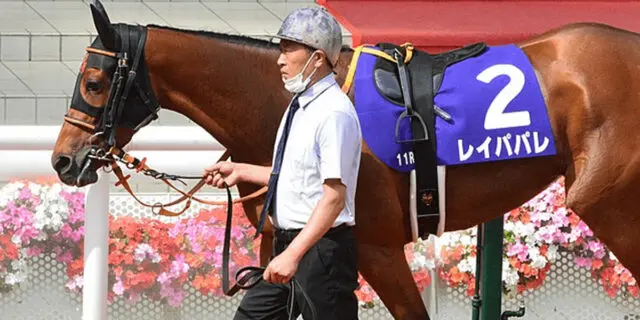 2021年大阪杯の覇者レイパパレが引退、右前脚に腫れ