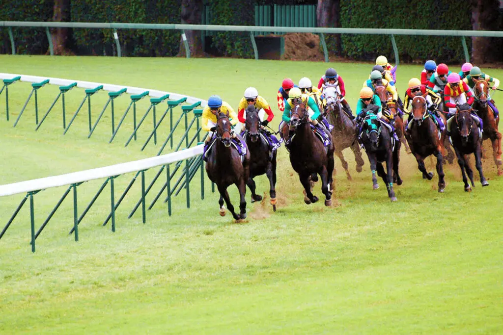 【ステイヤーズステークス2025予想】JRA最長距離の平地重賞！ホーエリートやクロミナンスなど出走予定馬を考察