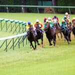 【ステイヤーズステークス2025予想】JRA最長距離の平地重賞！ホーエリートやクロミナンスなど出走予定馬を考察