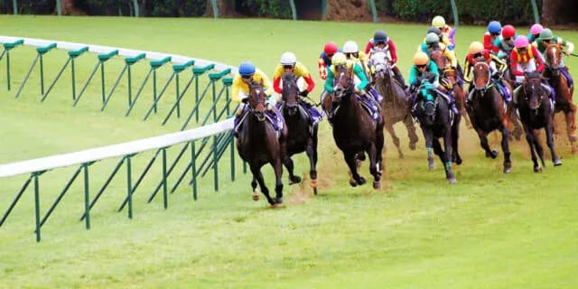 【JRA中山記念2025予想】豪華メンバーのスーパーG2！ソウルラッシュやシックスペンスなど出走予定馬を考察