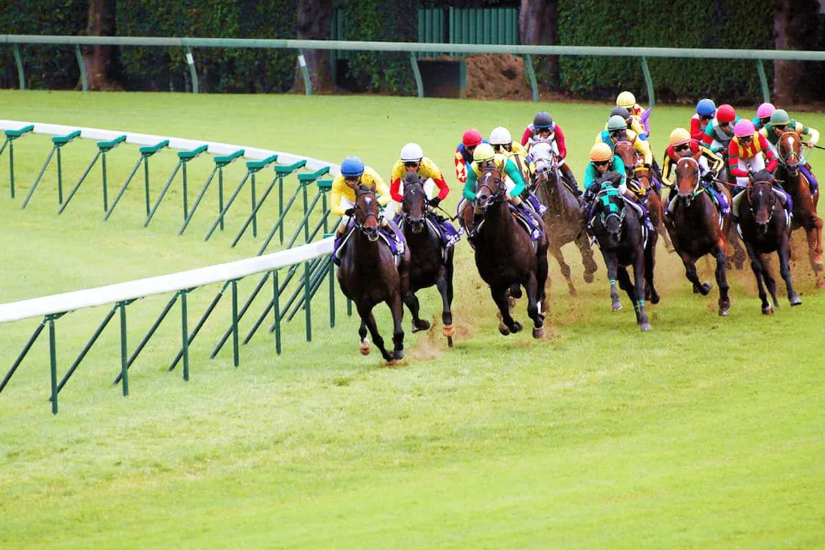 【皐月賞2024予想】牡馬クラシック第一弾！シンエンペラーやジャンタルマンタルなど出走予定馬を考察