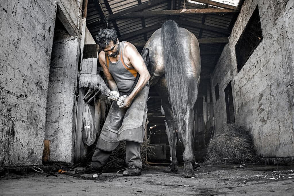 外国人労働者が人手不足の競馬産業を支えている現状