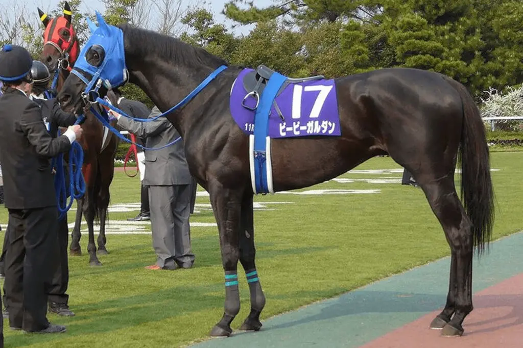 鬼滅ブームで話題となったビービーガルダン、体験乗馬で活躍中！