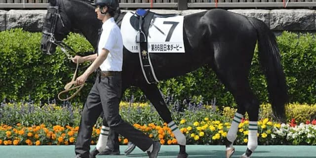 安田記念制したダノンキングリーが引退、種牡馬入り