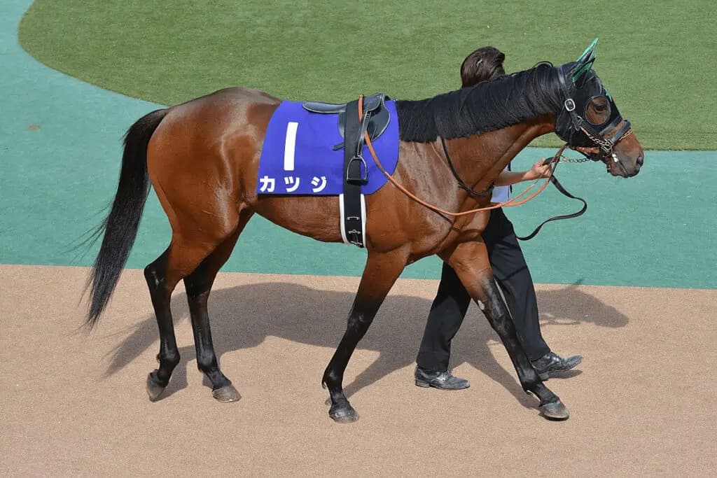 【チャンレジC予想2021】不振カツジ、距離延長に活路あるか？