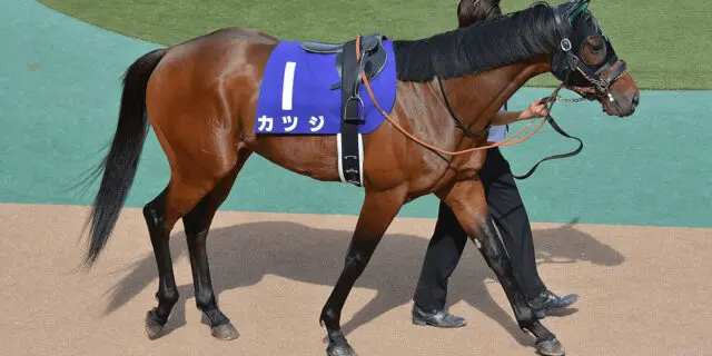 【チャンレジC予想2021】不振カツジ、距離延長に活路あるか？