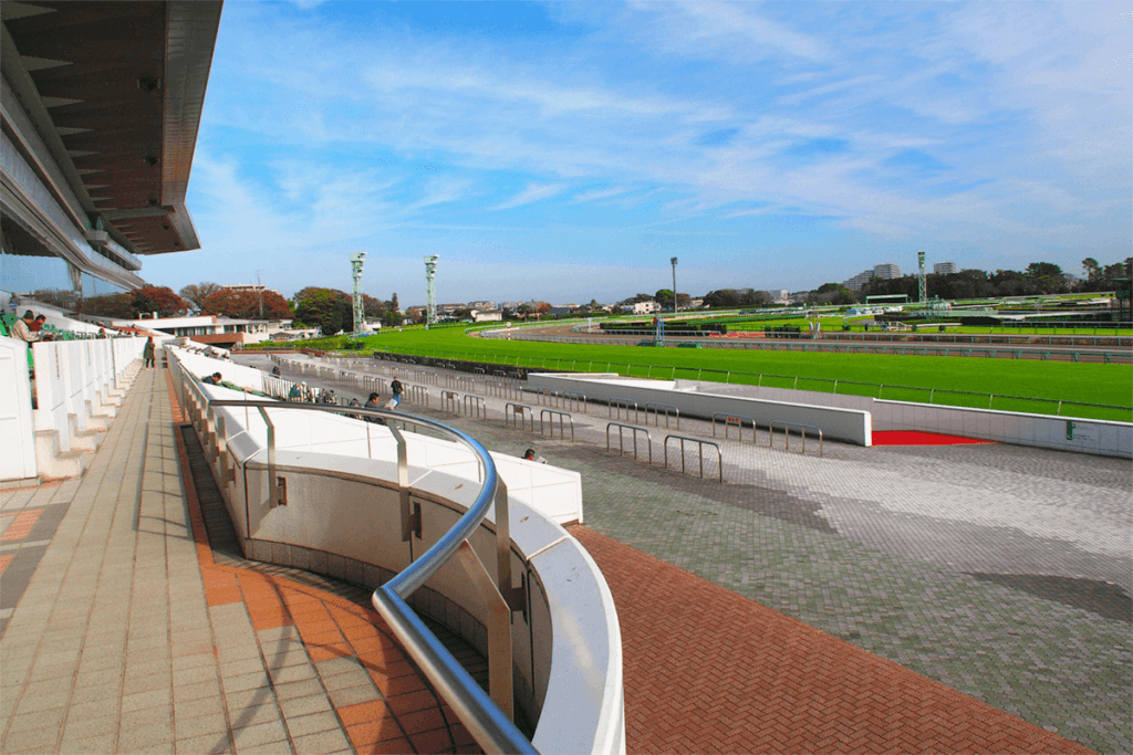 【日経賞2022予想】天皇賞春の前哨戦！タイトルホルダーやディバインフォースなど出走予定馬を考察