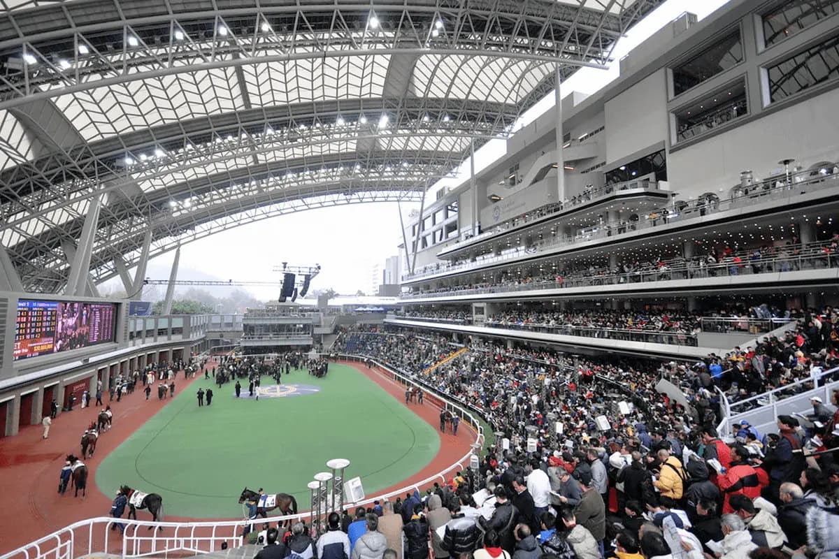 【香港ヴァーズ2024予想】香港の中長距離路線の最高峰！プラダリアやステレンボッシュなど出走予定馬を考察