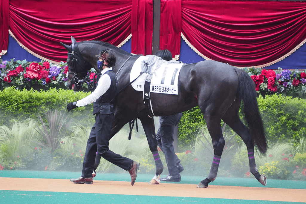 【天皇賞秋2024予想】本来の力が戻ってきたステラヴェローチェ、雨・重馬場を味方にG1初制覇へ