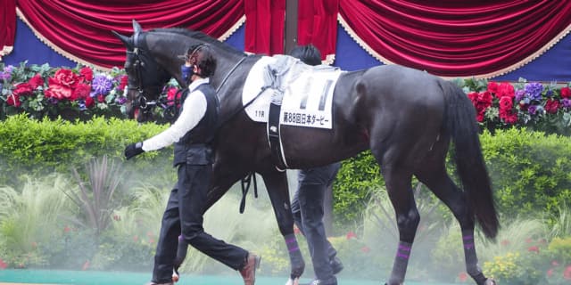 【安田記念2024予想】道悪巧者の伏兵ステラヴェローチェの激走に期待