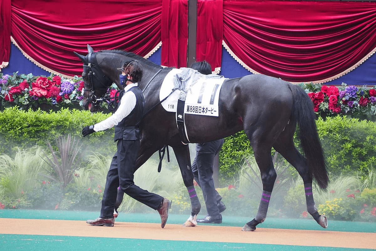 【天皇賞秋2024予想】本来の力が戻ってきたステラヴェローチェ、雨・重馬場を味方にG1初制覇へ
