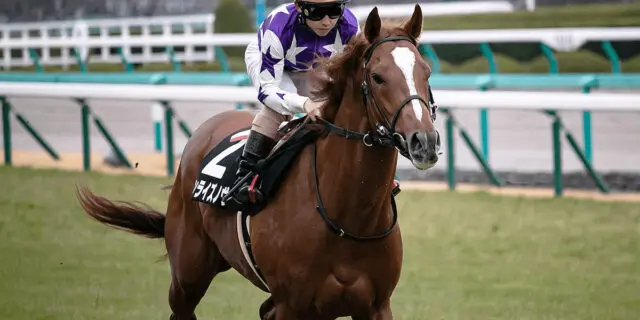 【東京大賞典2021予想】サンライズノヴァ、無欲の追い込みで波乱を呼べるか？