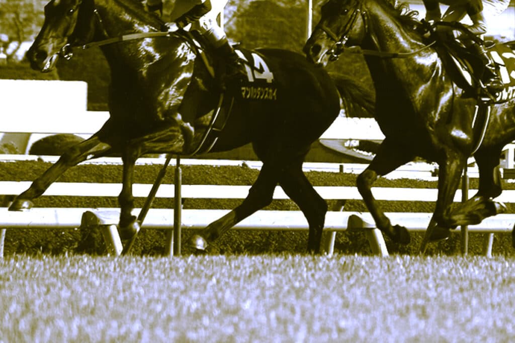 【北陸ステークス2025予想】逃げ馬不在！前残り警戒で波乱の可能性も