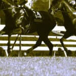 【新潟大賞典2026】牝馬が4頭登録、例年とは異なる傾向を想定すべきか？