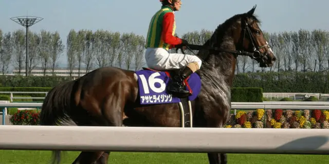 アサヒライジングが死亡、日米G1・2着3回など国内外の牝馬G1戦線で活躍