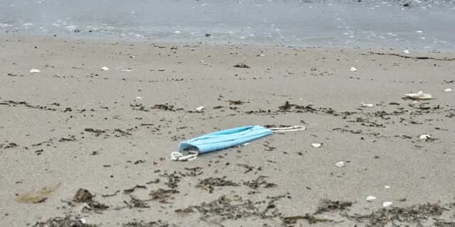 2022シンザン記念のサインは感染拡大中の“沖縄コロナ”！推奨穴馬は？