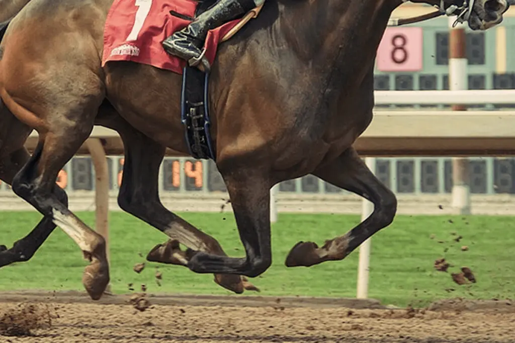 【オータムリーフS予想2023】3連勝中サンライズフレイム、勢い最上位