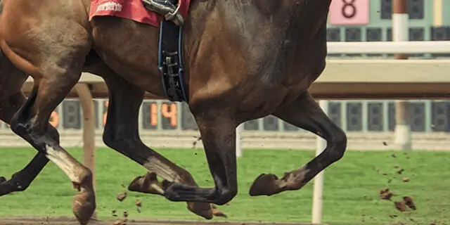 【東海ステークス2022予想】唯一の4歳馬スマッシャー、スローの展開を生かしてG1へ！