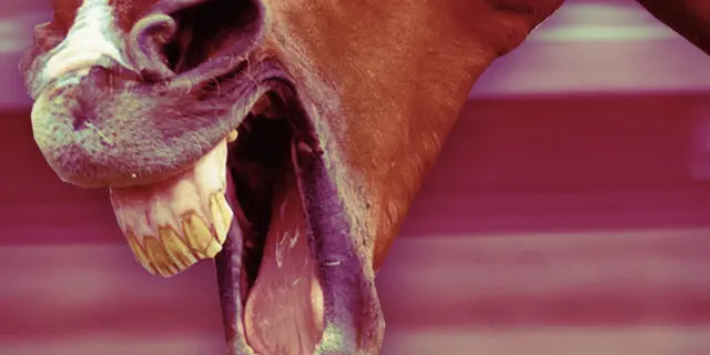 【共同通信杯2025予想】レッドキングリーは“気性面の成長”がカギ